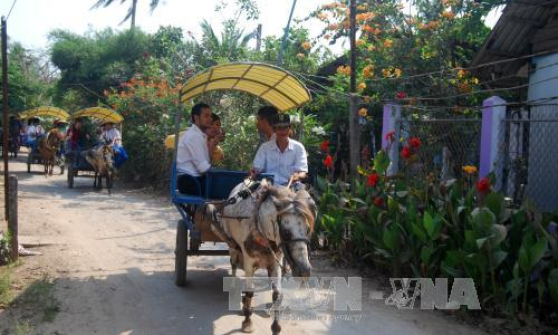 Bến Tre phát triển nhiều loại hình du lịch thế mạnh