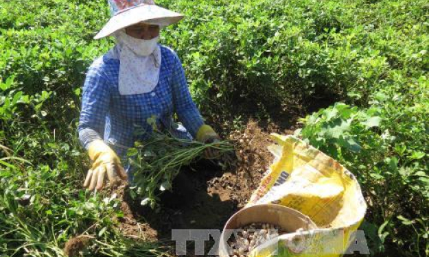 Trà Vinh tạo nguồn lực mới cho kinh tế tập thể phát triển