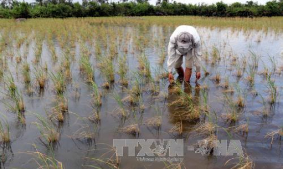 El Nino quay trở lại, mùa hè năm nay sẽ nắng nóng