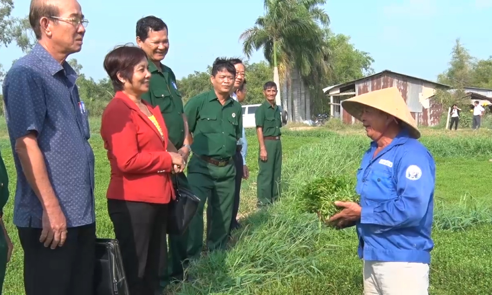 Hội Cựu chiến binh Đức Hoà xứng danh truyền thống bộ đội Cụ Hồ