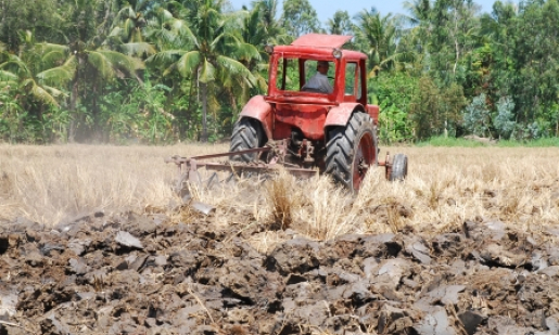 Toàn huyện Bến Lức cày ải hơn 2.000 ha