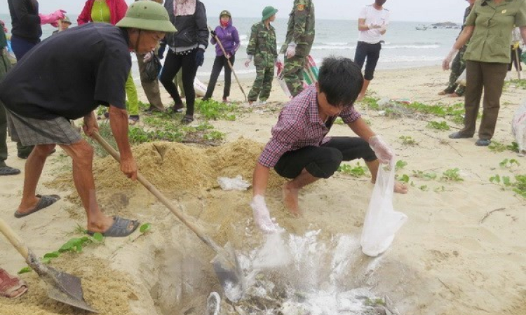 Xử lý vụ Formosa: &#8220;Không có ngoại lệ, không có vùng cấm&#8221;