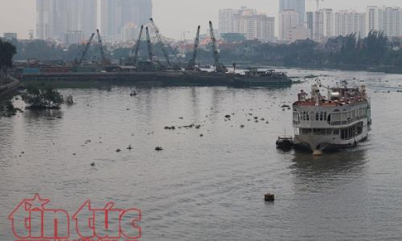 Buýt đường sông tại TP Hồ Chi Minh sẽ đưa vào hoạt động vào tháng 6