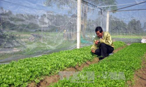 Sẽ dành gói tín dụng 100.000 tỷ đồng đầu tư cho &#8216;nông nghiệp sạch&#8217;