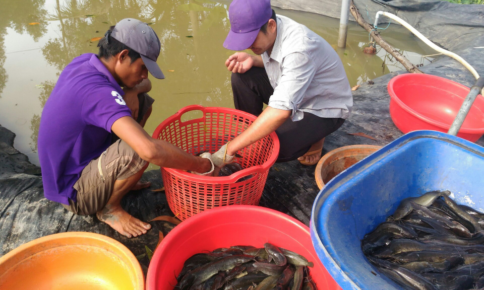 Phát huy phong trào 5 xung kích, 4 đồng hành