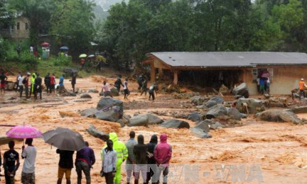 Hơn 300 người thiệt mạng trong vụ lở đất ở Sierra Leone