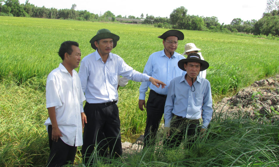 Long An: 29 tỷ đồng kinh phí phòng, chống lũ 6 huyện vùng ĐTM