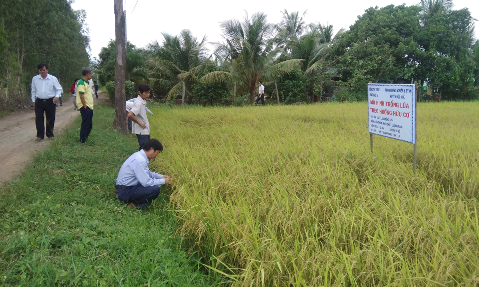 Đức Huệ: Hội thảo mô hình trồng lúa theo hướng hữu cơ