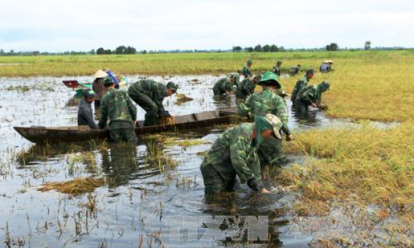 Đồng bằng sông Cửu Long mùa nước nổi : Sẽ không còn mùa lũ &#8216;đẹp&#8217;