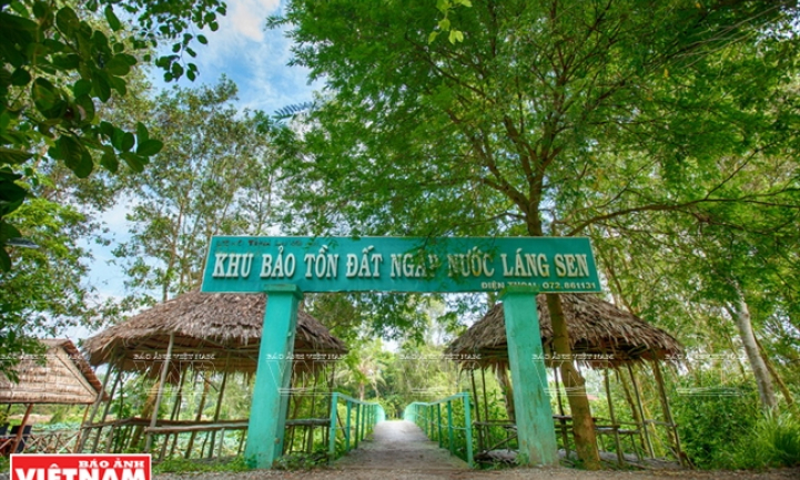 Ramsar Láng Sen hấp dẫn khách du lịch