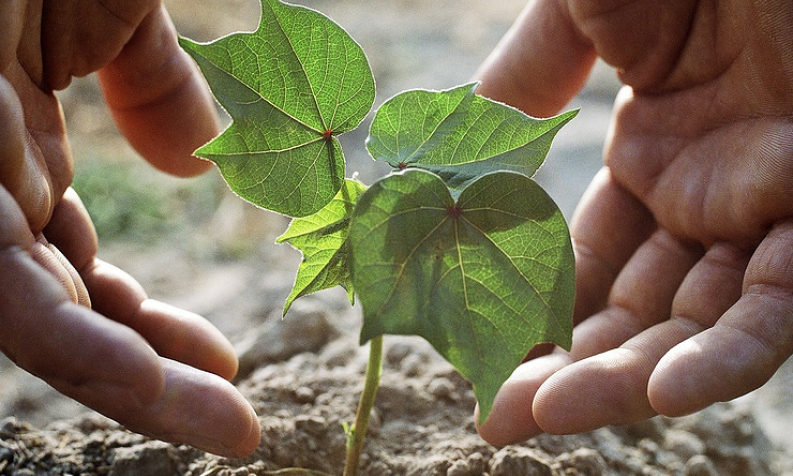 Nga sản xuất thành công đất nhân tạo