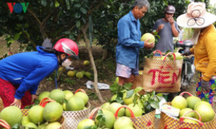 Liên kết phát triển bền vững tiểu vùng Duyên hải phía Đông ĐBSCL