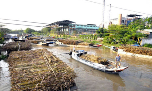 Đường tồn kho tăng trở lại