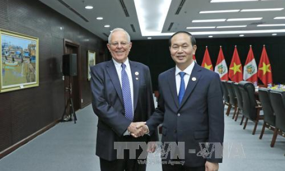 APEC 2017: Chủ tịch nước Trần Đại Quang gặp song phương Tổng thống Peru