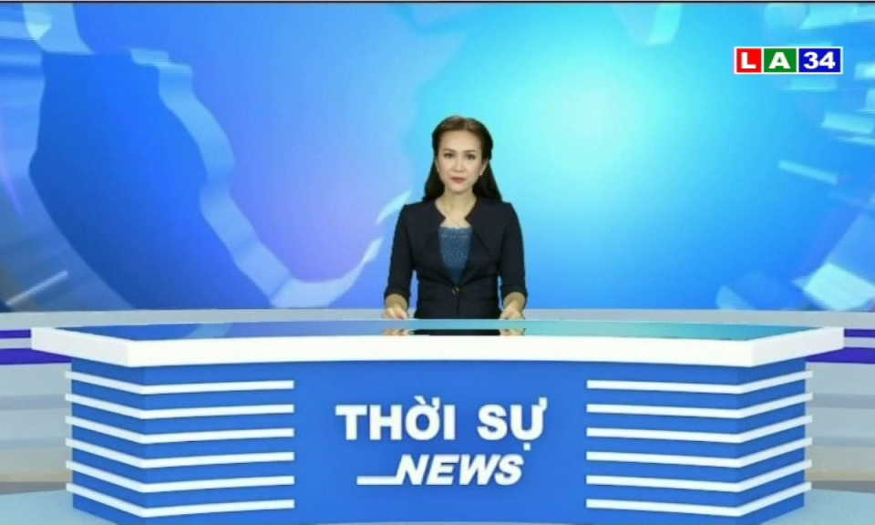 Bản tin thời sự chiều 11-11-2017