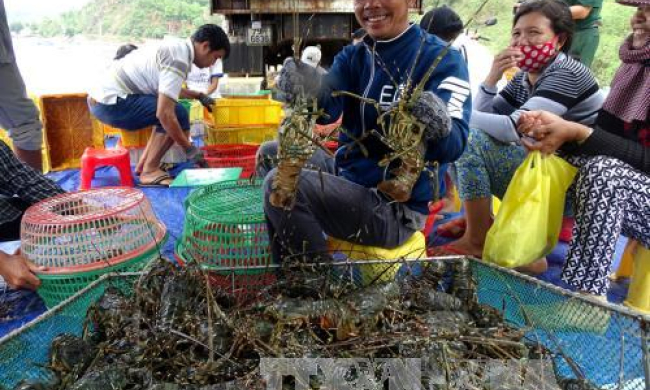 Kế hoạch cơ cấu lại ngành nông nghiệp