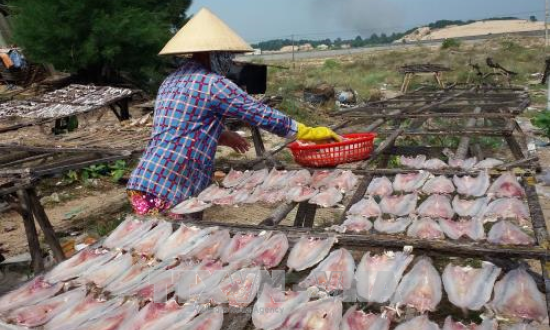 Bà Rịa-Vũng Tàu phát hiện chất cấm trong cá khô ở chợ đầu mối