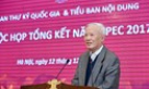 Năm APEC 2017 thể hiện rõ nét năng lực đa phương của Việt Nam