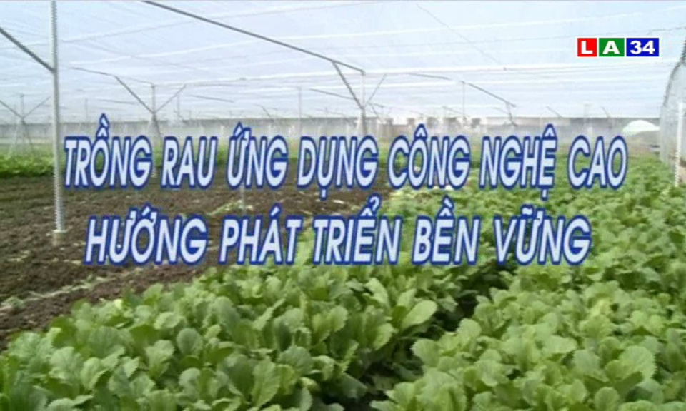 Trồng rau ứng dụng công nghệ cao hướng phát triển bền vững