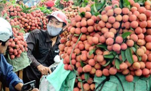 Tăng trưởng xuất khẩu: Điểm sáng, không phụ thuộc khai thác tài nguyên