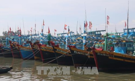 Ứng phó với bão Kai-Tak: Theo dõi, kiểm soát chặt chẽ tàu thuyền ra khơi