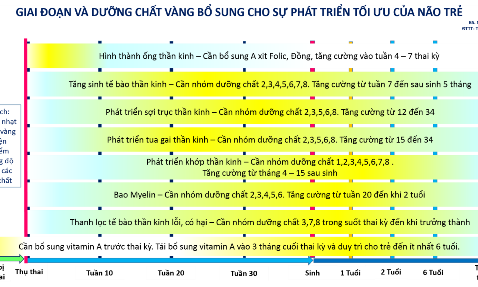 Dinh dưỡng vàng cho phát triển tối ưu não bộ những năm tháng đầu đời