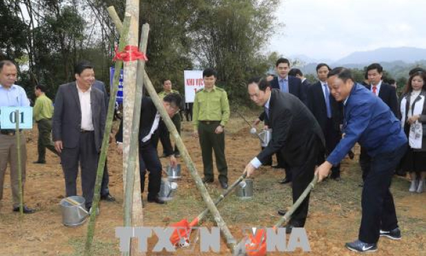 Chủ tịch nước phát động và tham gia &#8216;Tết trồng cây đời đời nhớ ơn Bác Hồ&#8217; Xuân Mậu Tuất