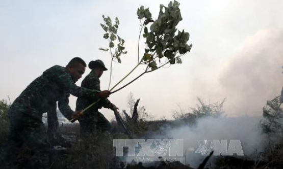 Cháy rừng lan rộng tại 4 tỉnh, Indonesia ban bố tình trạng khẩn cấp