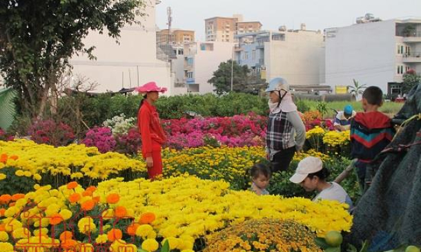 TP Hồ Chí Minh có khoảng 130 chợ hoa Tết 2018