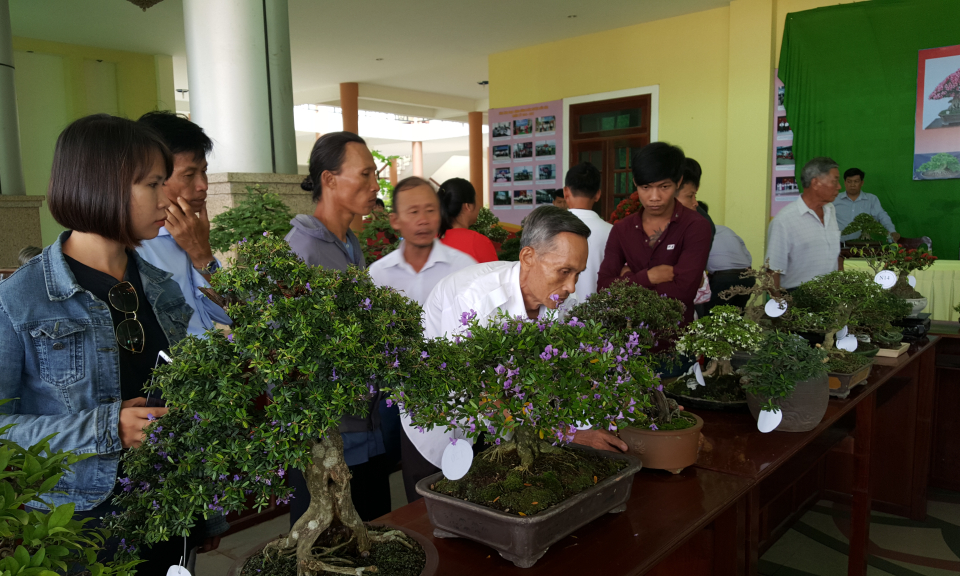 Hội thi “Nghệ thuật bon sai huyện Đức Hòa mừng Đảng – mừng xuân Mậu Tuất 2018”