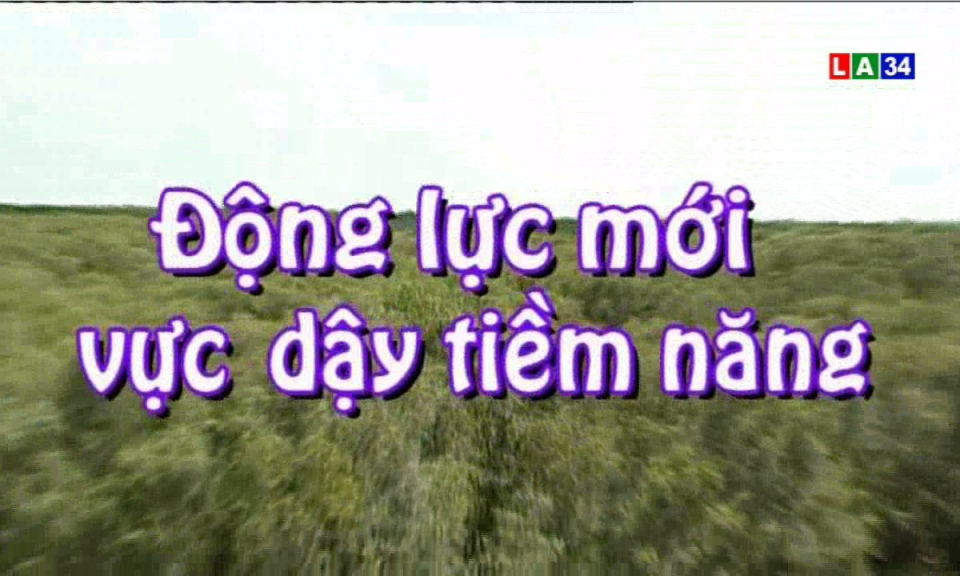 Phóng sự: Động lực mới vực dậy tiềm năng