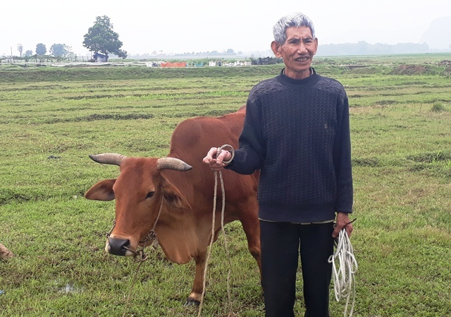 Thanh Hóa,thu phí trâu bò