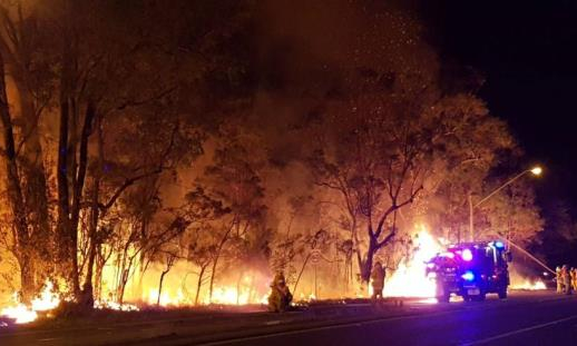 Australia: Cháy hàng nghìn hecta rừng ở ngoại ô Sydney