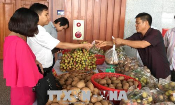 Hưng Yên kết nối cung cầu, xúc tiến tiêu thụ sản phẩm vùng nông thôn