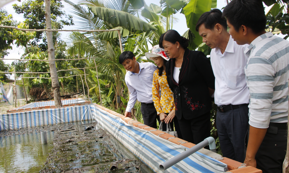 Lớp chuyên viên khoá 59 nghiên cứu, học tập kinh nghiệm tại huyện Thủ Thừa