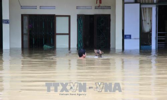 Mưa lũ làm 7 người chết, 8 người mất tích, thiệt hại trên 76 tỷ đồng