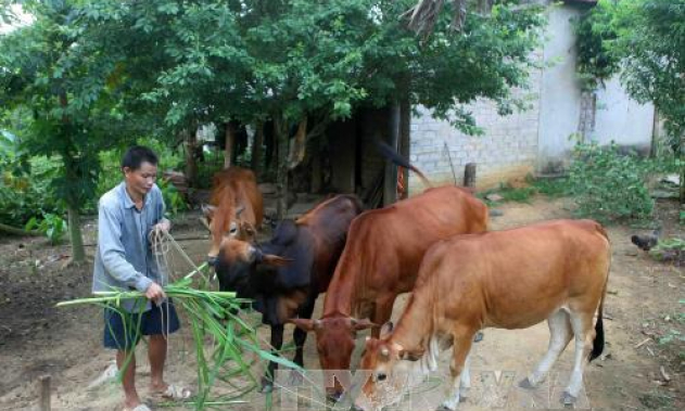 Các tỉnh miền Trung, Tây Nguyên được đầu tư trên 718,11 tỷ đồng từ Chương trình 135