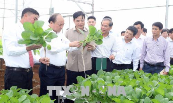 Thủ tướng Nguyễn Xuân Phúc thăm mô hình sản xuất rau an toàn tại Lâm Đồng