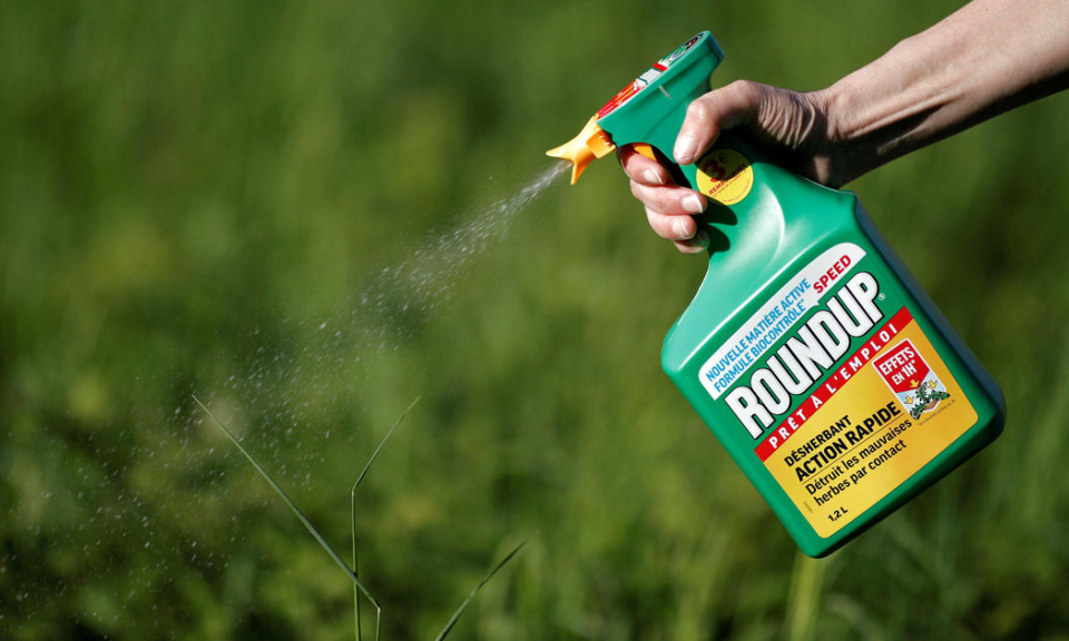 Lật lại lịch sử bê bối của Monsanto &#8211; công ty sản xuất chất độc da cam vừa thua kiện