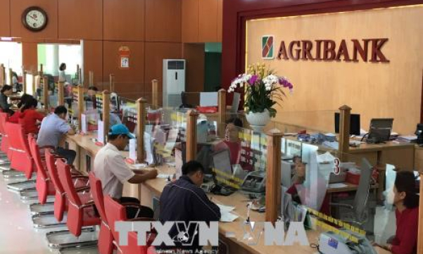 Cổ phần hoá Agribank: Chậm để tiến xa