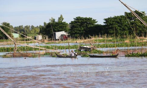 Đồng bằng sông Cửu Long chủ động ứng phó với lũ lớn