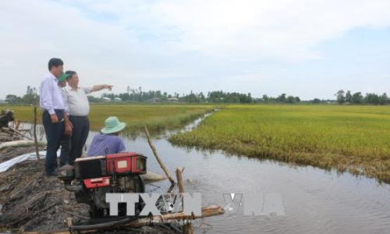 Nước đầu nguồn sông Cửu Long tiếp tục lên, nguy cơ ngập úng vùng trũng thấp