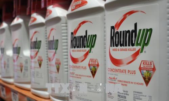 Anh cân nhắc ngừng bán thuốc diệt cỏ Roundup của Monsanto