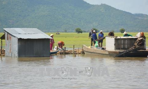 An Giang vỡ bờ bao làm ngập 720 ha lúa Thu Đông