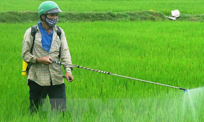 Đề xuất loại bỏ sản phẩm thuốc diệt cỏ có chứa hoạt chất Glyphosate