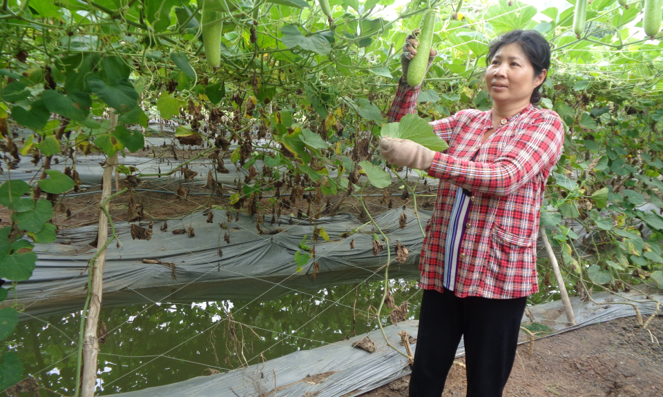 Cần Giuộc: Hỗ trợ phụ nữ khởi nghiệp, phát triển kinh tế