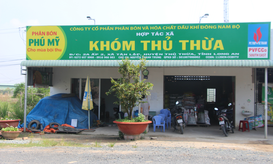 Thủ Thừa: Hiệu quả hợp tác xã nông nghiệp