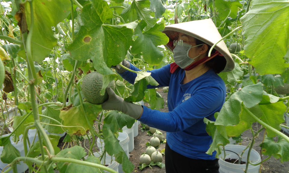 Cần Giuộc: Hội thảo phát triển nông nghiệp ứng dụng công nghệ cao