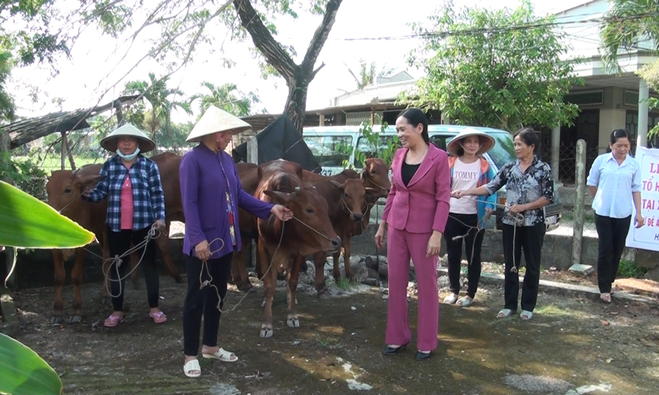 Đức Hoà: Lễ bàn giao bò giống cho tổ hợp tác