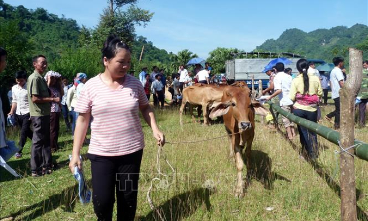 Nhiều hoạt động thiết thực hỗ trợ người nghèo